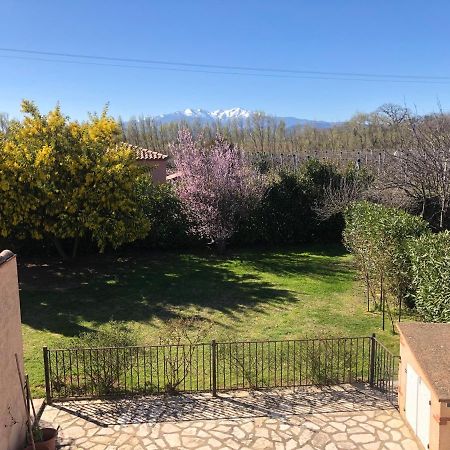 Au Mimosa -Gite Le Canigou Passa المظهر الخارجي الصورة