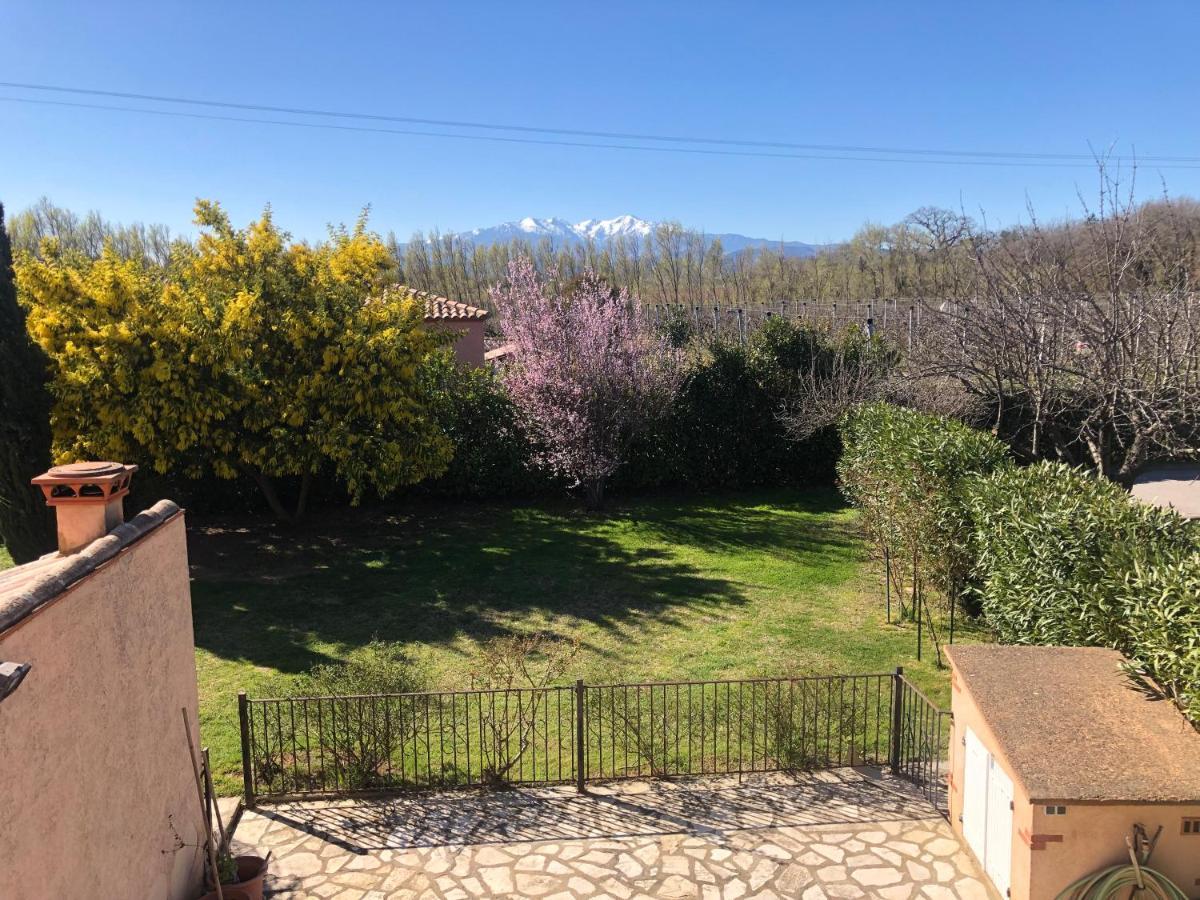 Au Mimosa -Gite Le Canigou Passa المظهر الخارجي الصورة