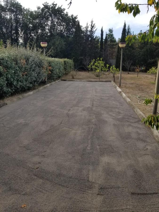 Au Mimosa -Gite Le Canigou Passa المظهر الخارجي الصورة